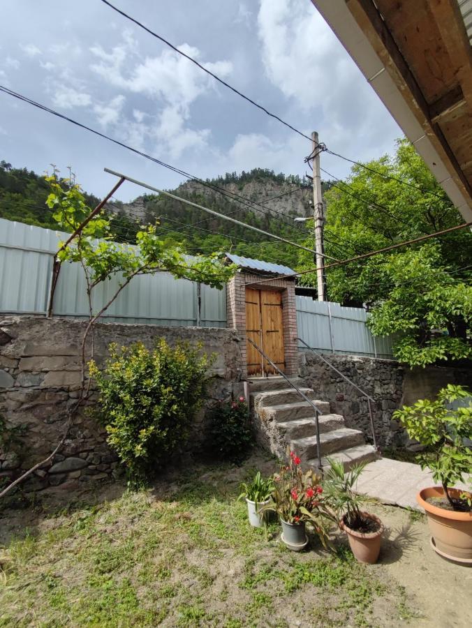 Ati Mta - Eco Hostel Borjomi Luaran gambar